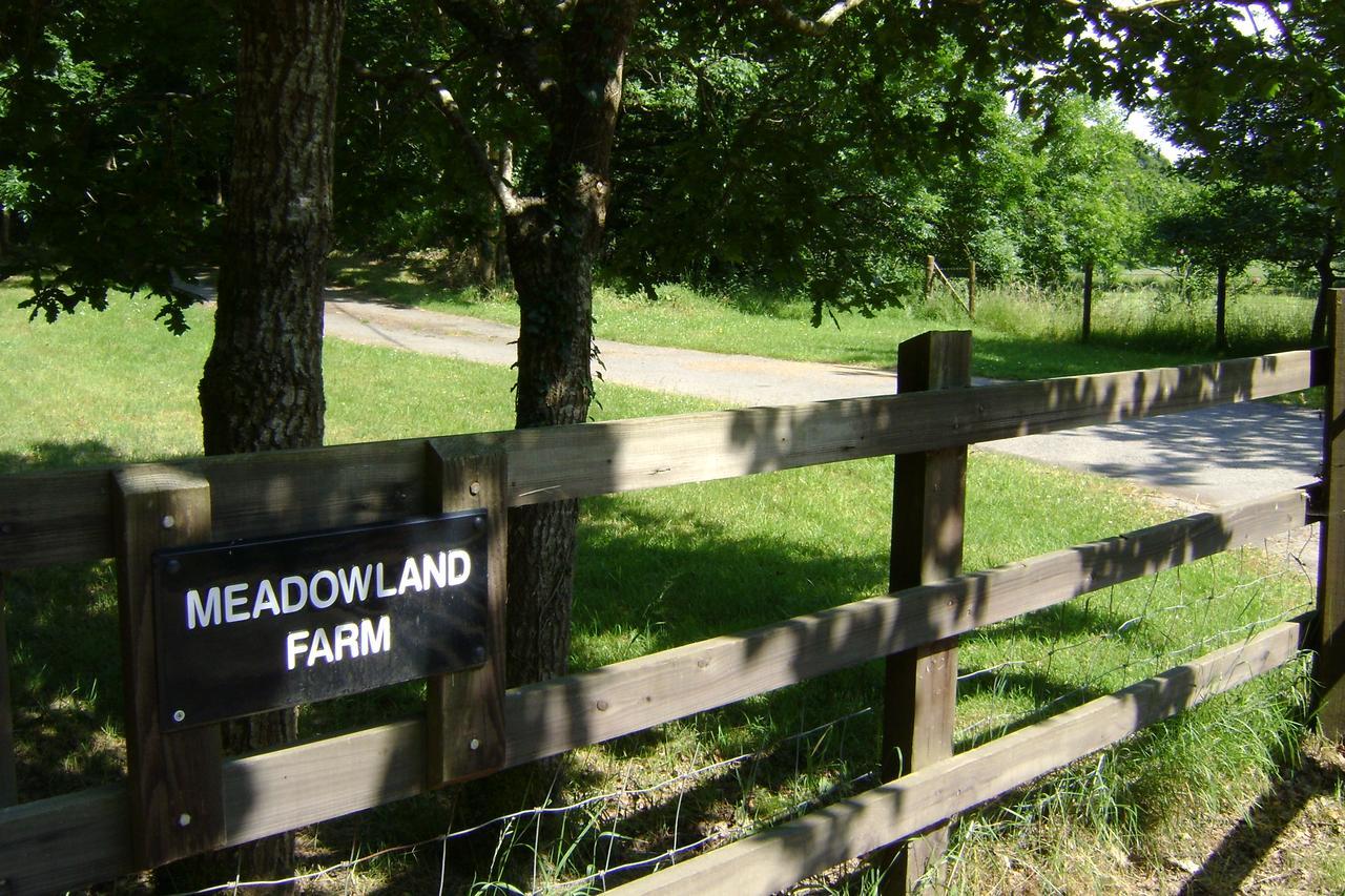 Bed and Breakfast Meadowland Farm Dolton Zewnętrze zdjęcie